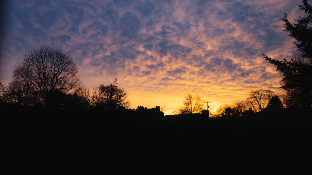 Golden hour at beach café